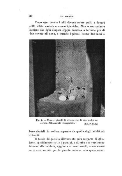 Rivista italiana di ornitologia