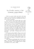 giornale/SBL0565515/1936/unico/00000131