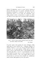 giornale/SBL0565515/1936/unico/00000149