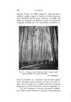 giornale/SBL0565515/1936/unico/00000164