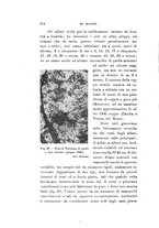 giornale/SBL0565515/1936/unico/00000250
