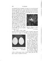 giornale/SBL0565515/1936/unico/00000252