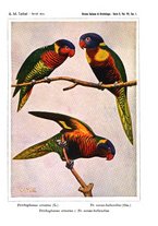 giornale/SBL0565515/1937/unico/00000027