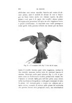 giornale/SBL0565515/1937/unico/00000240