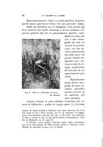 giornale/SBL0565515/1938/unico/00000086