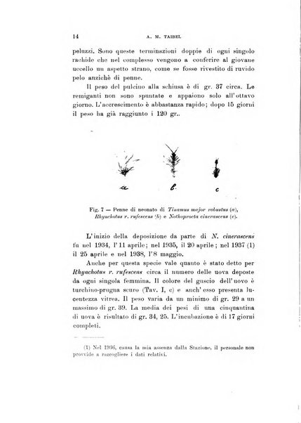 Rivista italiana di ornitologia