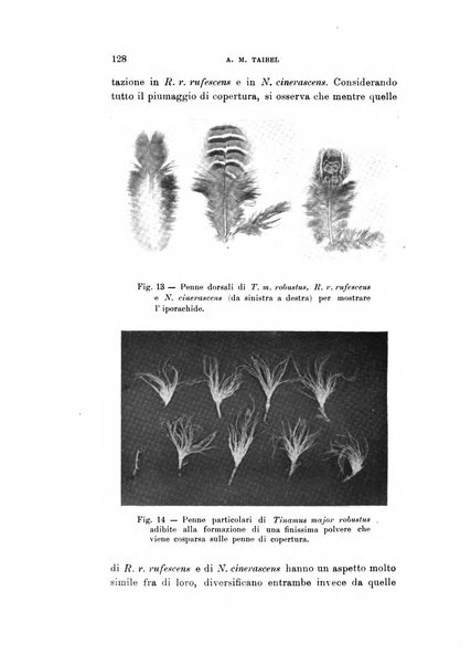 Rivista italiana di ornitologia