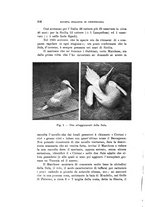 giornale/SBL0565515/1939/unico/00000238