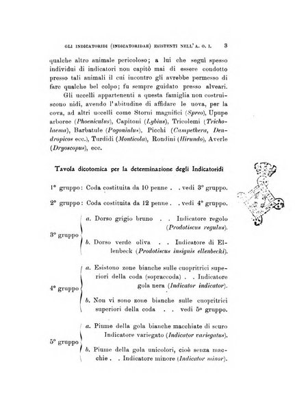 Rivista italiana di ornitologia