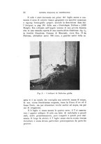 giornale/SBL0565515/1940/unico/00000078