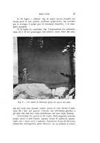 giornale/SBL0565515/1940/unico/00000079