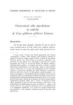 giornale/SBL0565515/1940/unico/00000127