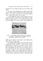 giornale/SBL0565515/1940/unico/00000151