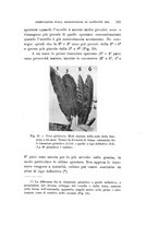 giornale/SBL0565515/1940/unico/00000155