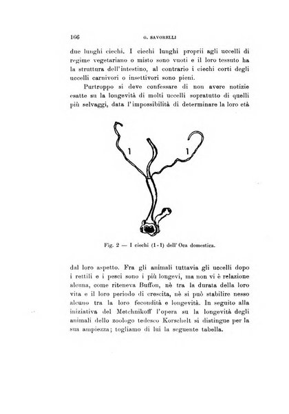 Rivista italiana di ornitologia