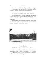 giornale/SBL0565515/1940/unico/00000290