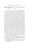 giornale/SBL0565515/1942/unico/00000119