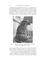giornale/SBL0565515/1943-1945/unico/00000036