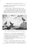 giornale/SBL0565515/1943-1945/unico/00000335