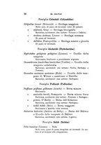 giornale/SBL0565515/1943-1945/unico/00000350