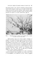 giornale/SBL0565515/1943-1945/unico/00000417