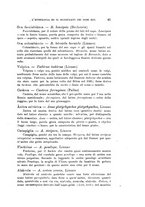 giornale/SBL0565515/1946-1947/unico/00000055