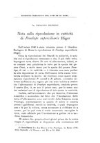 giornale/SBL0565515/1946-1947/unico/00000065