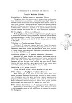 giornale/SBL0565515/1946-1947/unico/00000089