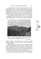 giornale/SBL0565515/1946-1947/unico/00000323