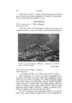 giornale/SBL0565515/1946-1947/unico/00000328