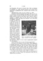 giornale/SBL0565515/1946-1947/unico/00000330