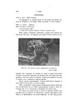 giornale/SBL0565515/1946-1947/unico/00000338