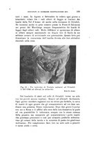 giornale/SBL0565515/1946-1947/unico/00000343