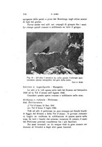 giornale/SBL0565515/1946-1947/unico/00000348