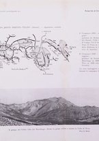 giornale/SBL0565515/1946-1947/unico/00000363