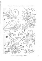 giornale/SBL0565515/1946-1947/unico/00000409