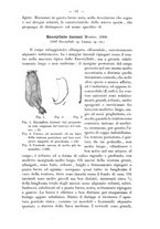 giornale/SBL0713039/1908/v.22/00000097