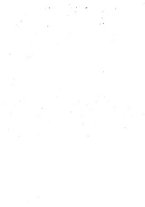 giornale/SBL0746716/1894/unico/00000516