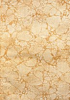 giornale/SBL0746716/1921/unico/00000003