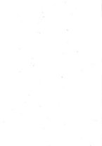 giornale/SBL0746716/1921/unico/00000348