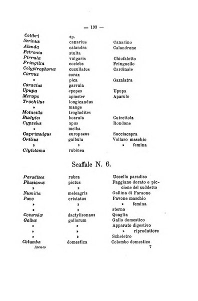 L'Ateneo giornale dell'Istituto Galileo Galilei