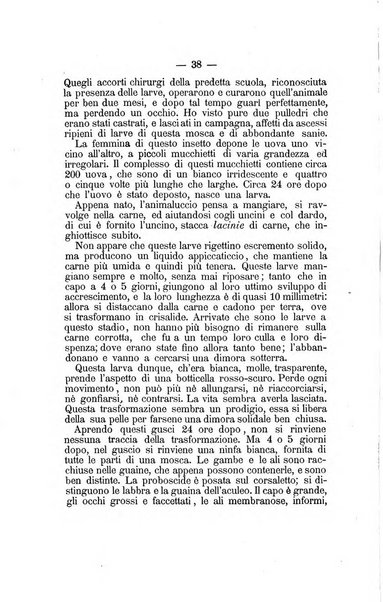 L'Ateneo giornale dell'Istituto Galileo Galilei