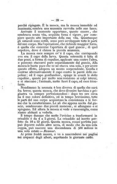 L'Ateneo giornale dell'Istituto Galileo Galilei