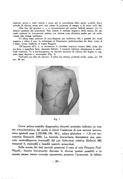 Acta medica patavina annali delle cliniche di Padova e degli ospedali delle Tre Venezie