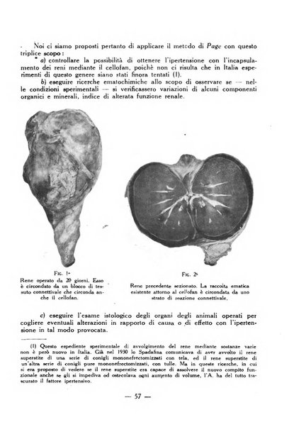 Acta medica patavina annali delle cliniche di Padova e degli ospedali delle Tre Venezie