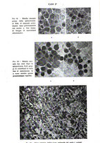 giornale/TO00012780/1946/unico/00000139