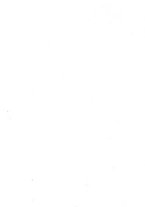 giornale/TO00013586/1925/unico/00000003