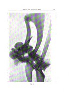 giornale/TO00013817/1932/v.2/00000095