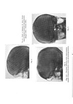 giornale/TO00013817/1937/v.7/00000076