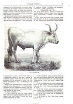 giornale/TO00014384/1881/v.13/00000013